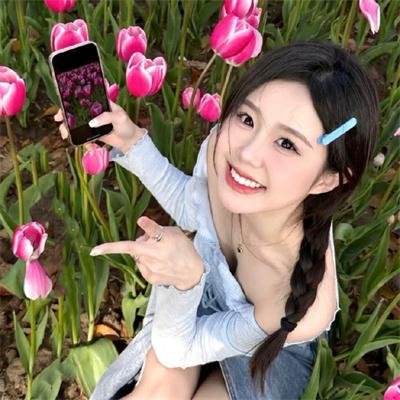 不死鸟之恋