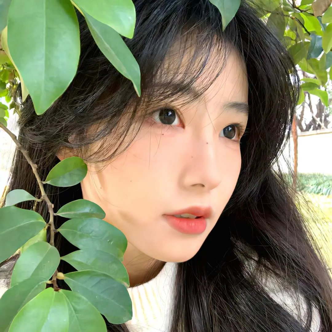 路易的第九条命